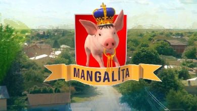 Mangalita