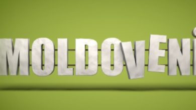 Moldovenii